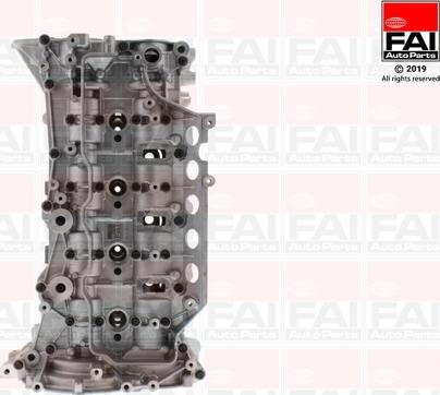 FAI AutoParts BCH093 - Chiulasa aaoparts.ro
