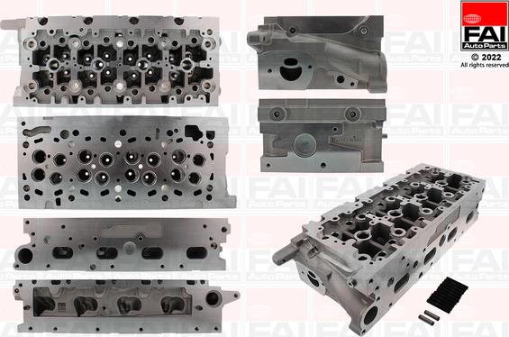 FAI AutoParts BCH135 - Chiulasa aaoparts.ro