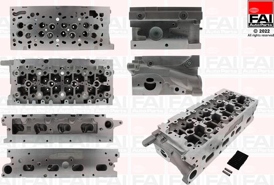 FAI AutoParts BCH136 - Chiulasa aaoparts.ro