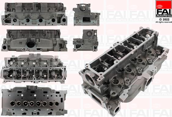 FAI AutoParts BCH123 - Chiulasa aaoparts.ro