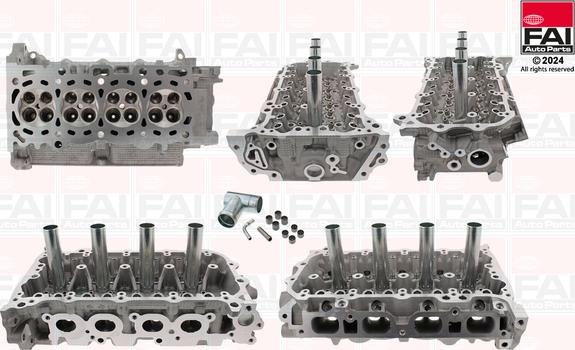 FAI AutoParts BCH317 - Chiulasa aaoparts.ro