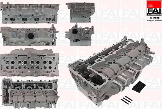 FAI AutoParts BCH266 - Chiulasa aaoparts.ro