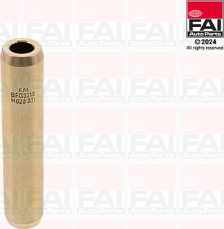 FAI AutoParts BFG3316 - Ghid supapa aaoparts.ro