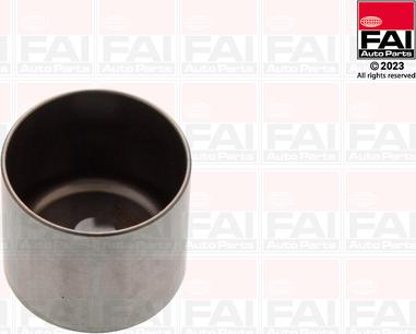 FAI AutoParts BFS192S - Culbutor supapa aaoparts.ro