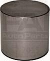 FAI AutoParts BFS308S - Culbutor supapa aaoparts.ro