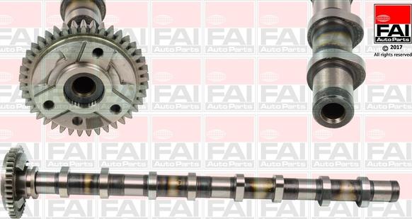 FAI AutoParts C381 - Ax cu came aaoparts.ro