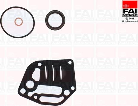 FAI AutoParts CS1198 - Set garnituri, carter aaoparts.ro