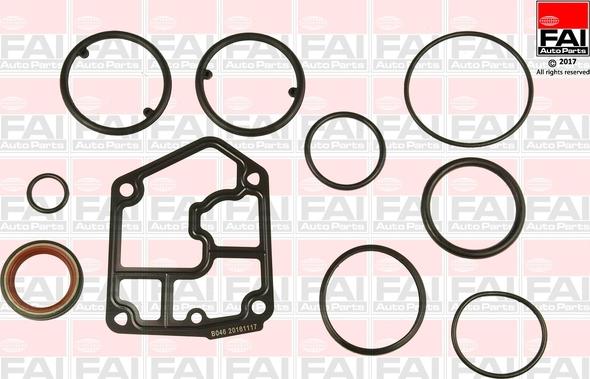 FAI AutoParts CS1360 - Set garnituri, carter aaoparts.ro
