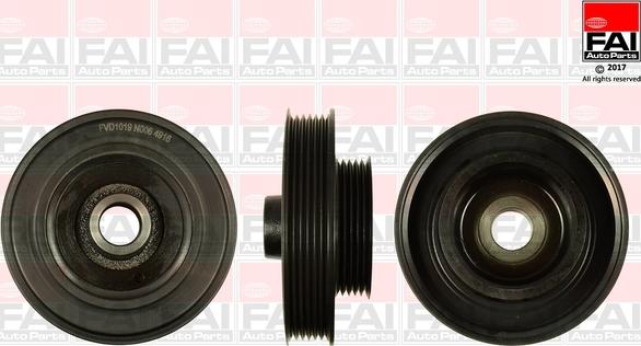 FAI AutoParts FVD1019 - Fulie curea, arbore cotit aaoparts.ro