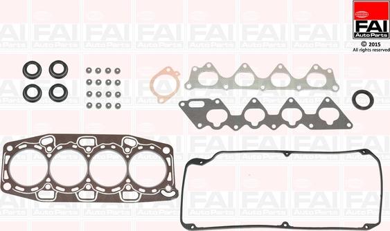 FAI AutoParts HS981 - Set garnituri, chiulasa aaoparts.ro