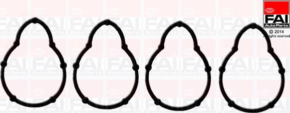 FAI AutoParts IM1051A - Set garnituri, galerie admisie aaoparts.ro
