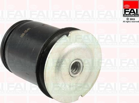 FAI AutoParts SS8041 - Suport, ax aaoparts.ro
