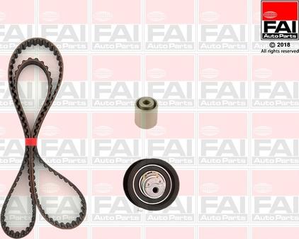 FAI AutoParts TBK99 - Set curea de distributie aaoparts.ro