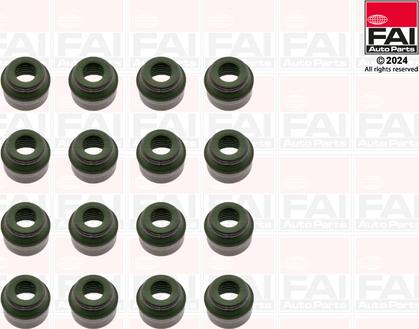FAI AutoParts VSK1906 - Set garnituri, ax supape aaoparts.ro