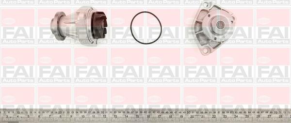 FAI AutoParts WP6141 - Pompa apa aaoparts.ro