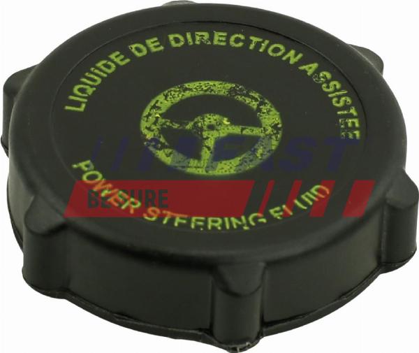 Fast FT94749 - Inel etansare, dop inchidere-pompa servo aaoparts.ro
