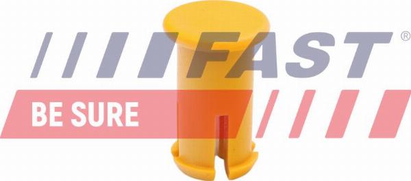 Fast FT96021 - Fixare usa aaoparts.ro