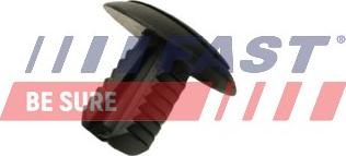 Fast FT96324 - Clips, acoperire decorativa si protectie aaoparts.ro
