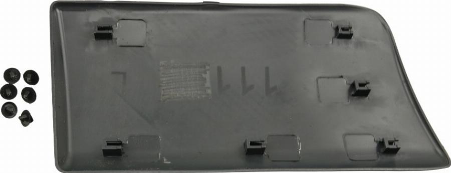 Fast FT90955 - Elemente decorative / protectie, panou lateral aaoparts.ro