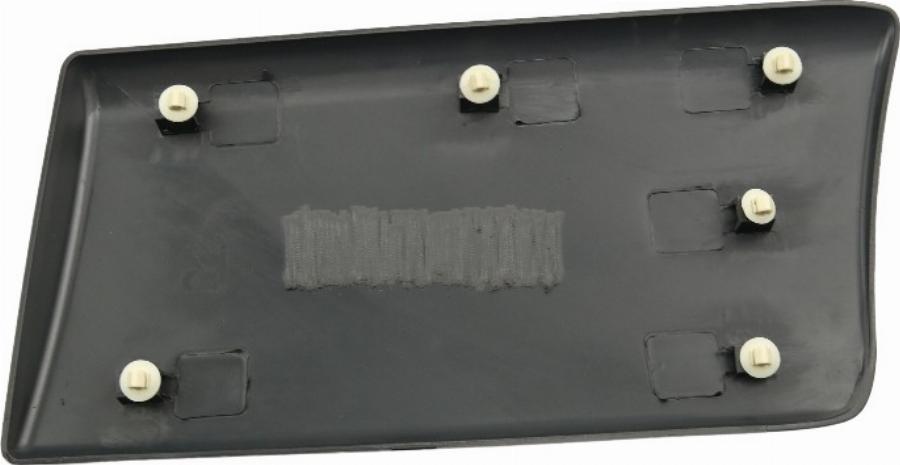 Fast FT90956 - Elemente decorative / protectie, panou lateral aaoparts.ro