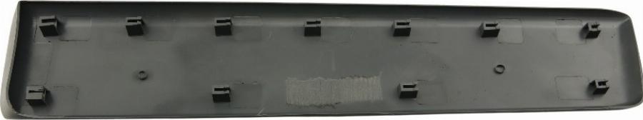 Fast FT90957 - Elemente decorative / protectie, portiera aaoparts.ro