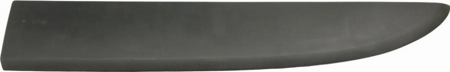 Fast FT90965 - Elemente decorative / protectie, portiera aaoparts.ro