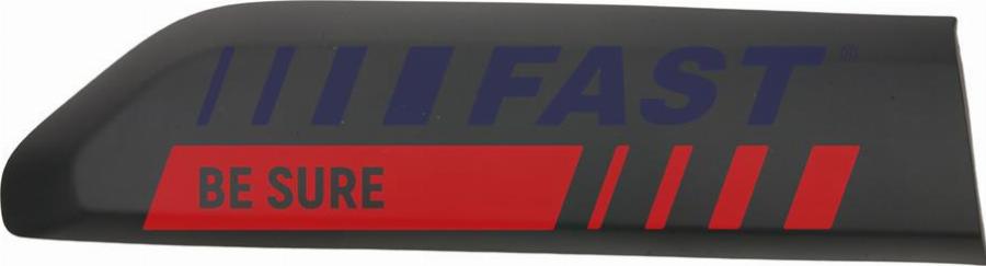 Fast FT90464G - Elemente decorative / protectie, panou lateral aaoparts.ro