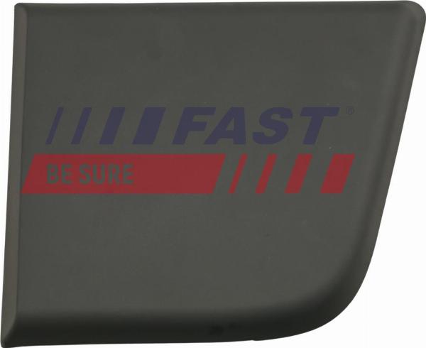 Fast FT90411 - Elemente decorative / protectie, panou lateral aaoparts.ro