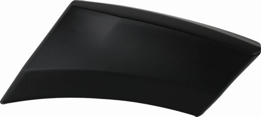 Fast FT90831 - Elemente decorative / protectie, aripa aaoparts.ro