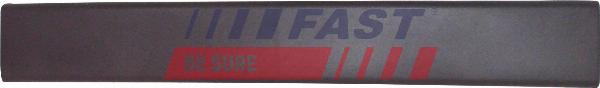 Fast FT90790 - Elemente decorative / protectie, panou lateral aaoparts.ro