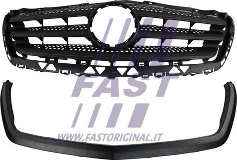 Fast FT91646 - Grila radiator aaoparts.ro