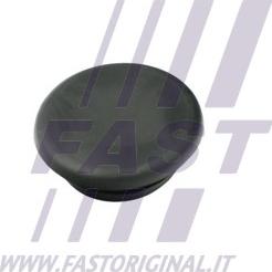 Fast FT97401 - Capac, maner usa aaoparts.ro