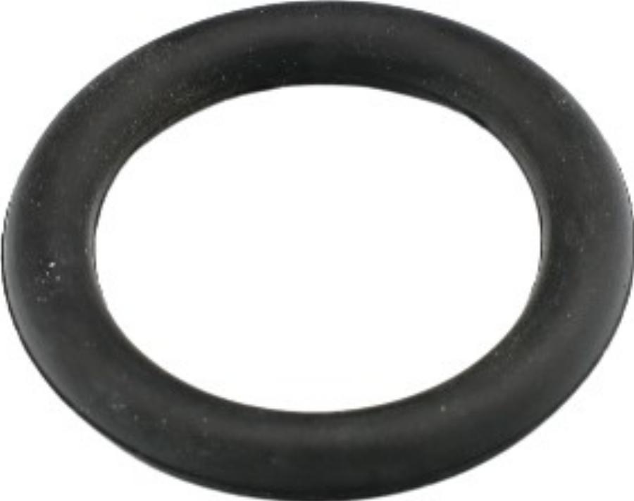 Fast FT49419 - Garnitura, galerie admisie aaoparts.ro