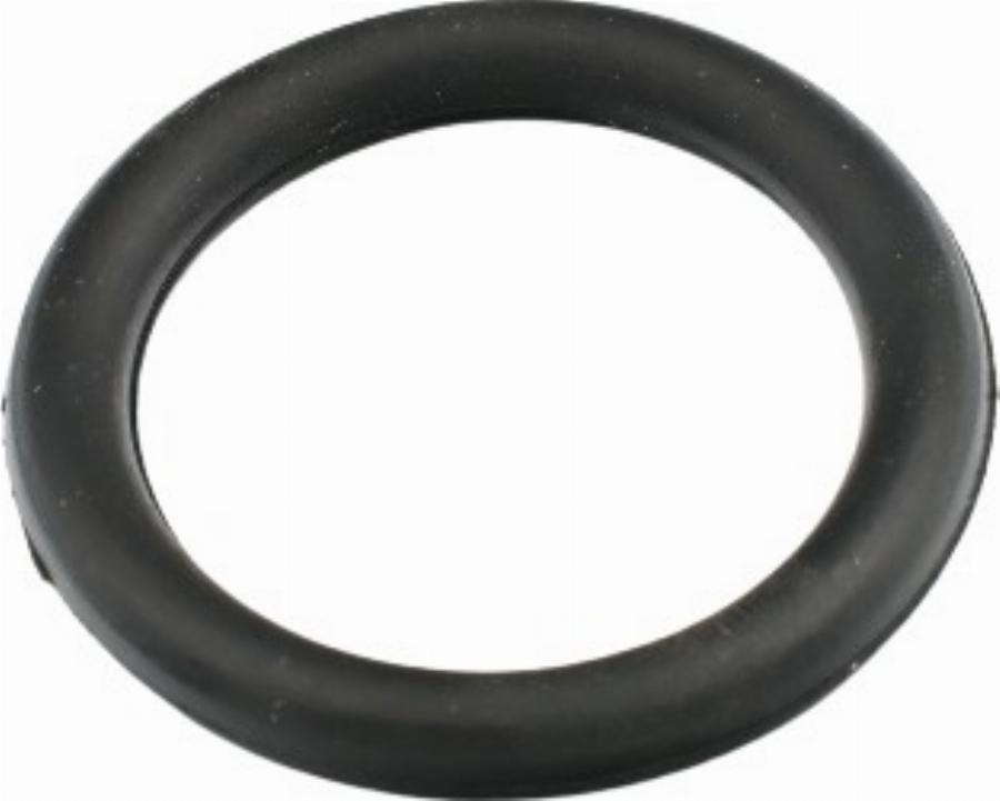 Fast FT49420 - Garnitura, galerie admisie aaoparts.ro