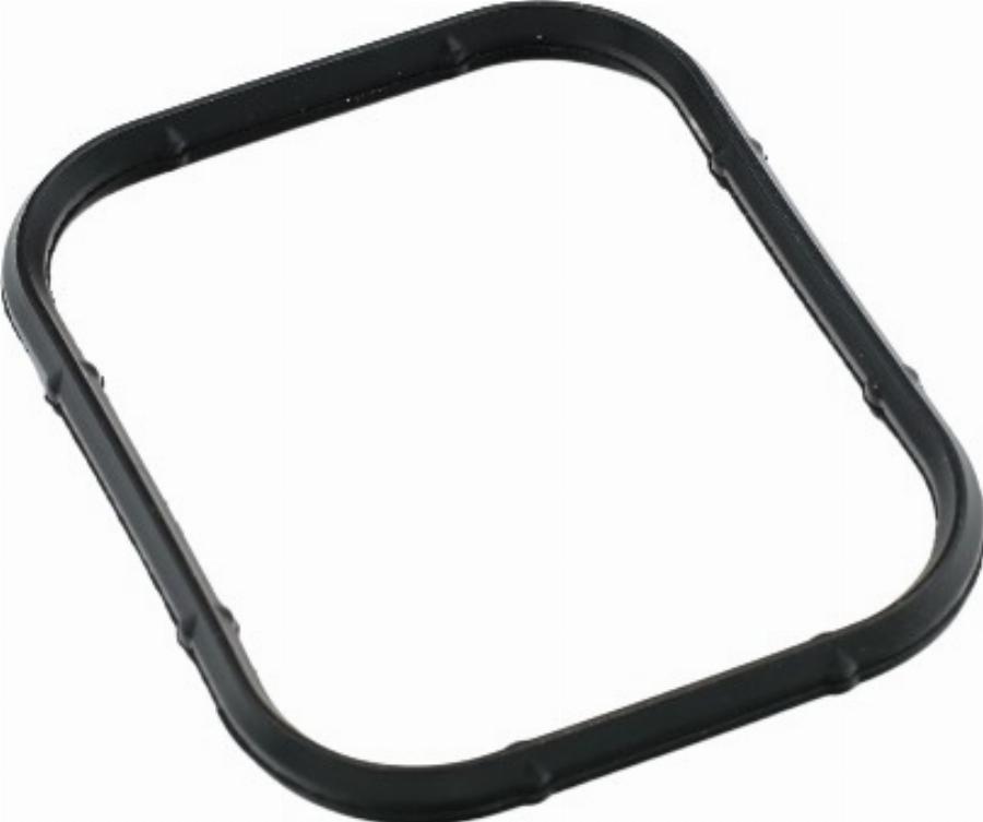 Fast FT49421 - Garnitura, galerie admisie aaoparts.ro