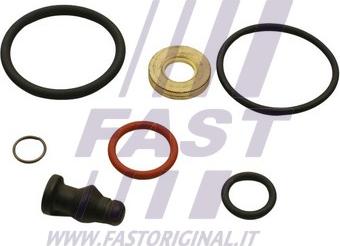 Fast FT49655 - Chit reparatie,unitate pompa-diuza aaoparts.ro