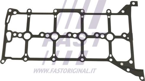 Fast FT49014 - Garnitura, capac supape aaoparts.ro