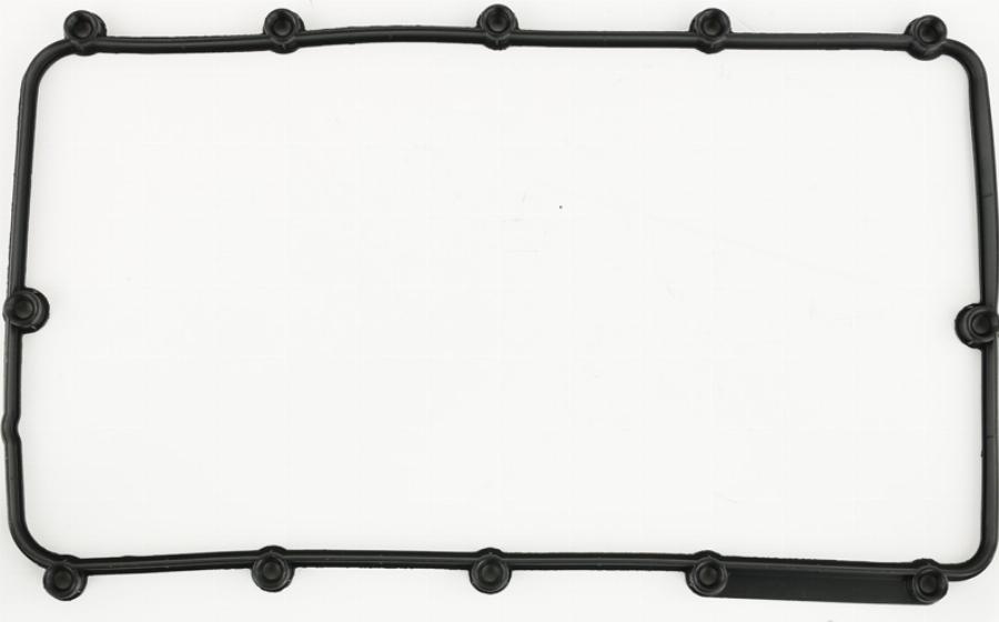 Fast FT49013 - Garnitura, capac supape aaoparts.ro