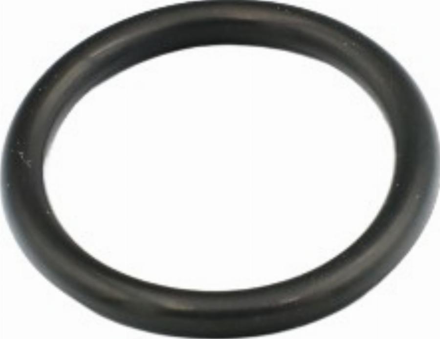 Fast FT49856 - Garnitura, flansa lichid racire aaoparts.ro