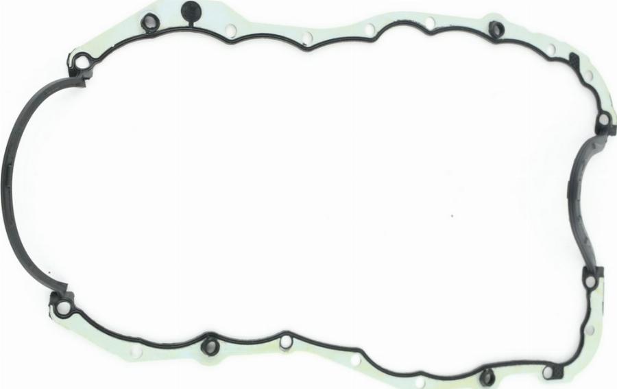 Fast FT49202 - Garnitura baie ulei aaoparts.ro