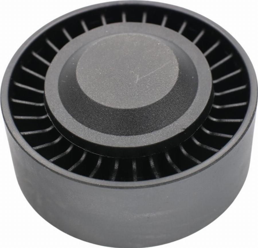 Fast FT44697 - Rola ghidare / conducere, curea transmisie aaoparts.ro