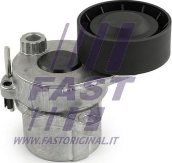 Fast FT44648 - Rola ghidare / conducere, curea transmisie aaoparts.ro
