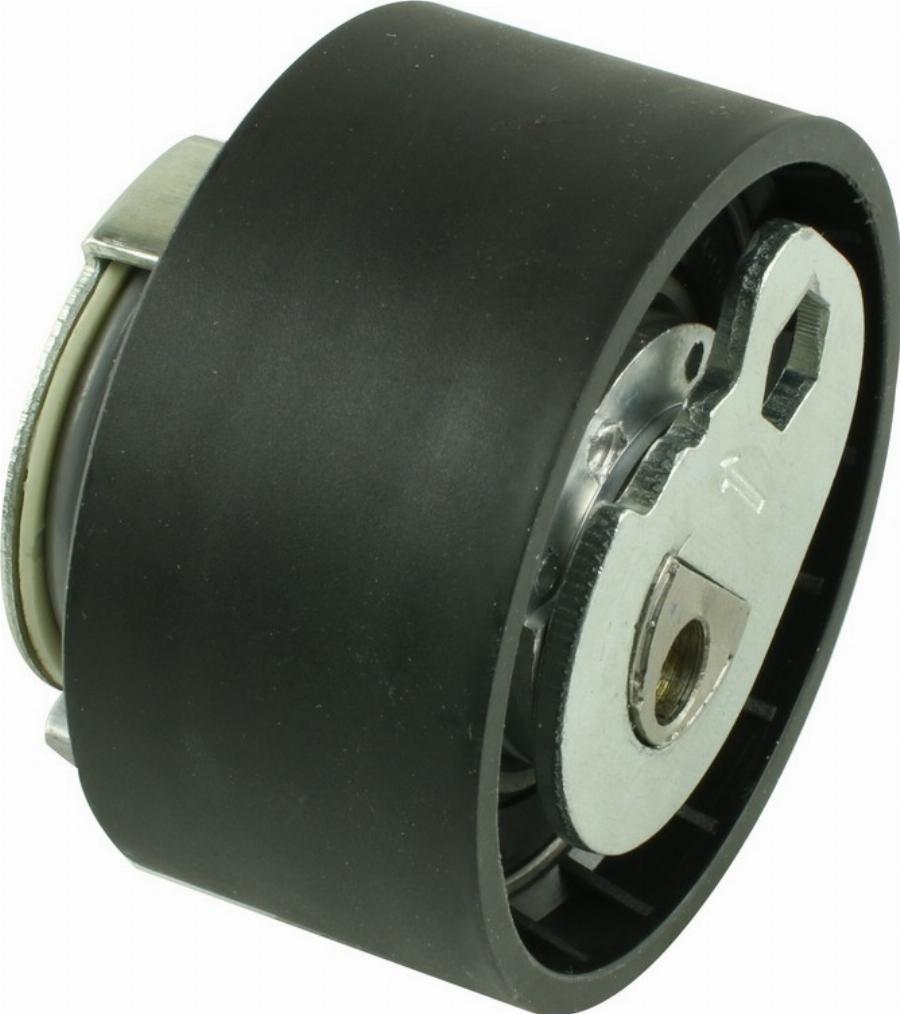 Fast FT44642 - Rola intinzator,curea distributie aaoparts.ro