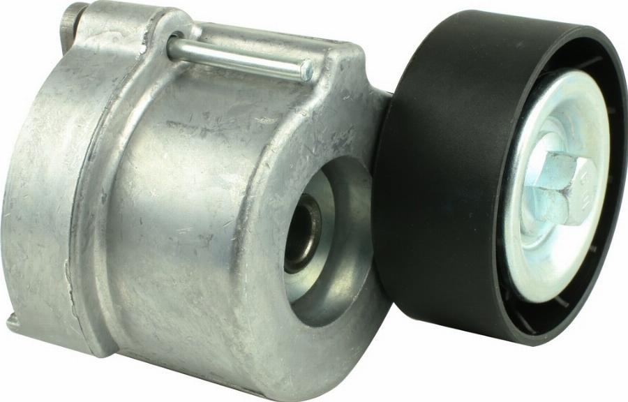 Fast FT44633 - Rola ghidare / conducere, curea transmisie aaoparts.ro