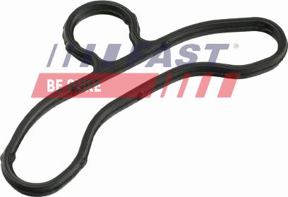 Fast FT41604 - Garnitura, distributie aaoparts.ro