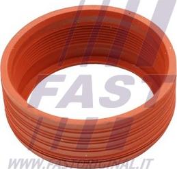 Fast FT48948 - Inel etansare, furtun aer supraalimentare aaoparts.ro