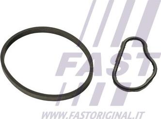 Fast FT48943 - Garnitura, pompa vacuum aaoparts.ro