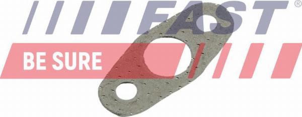 Fast FT48801 - Etansare, intrare turbina (compresor) aaoparts.ro