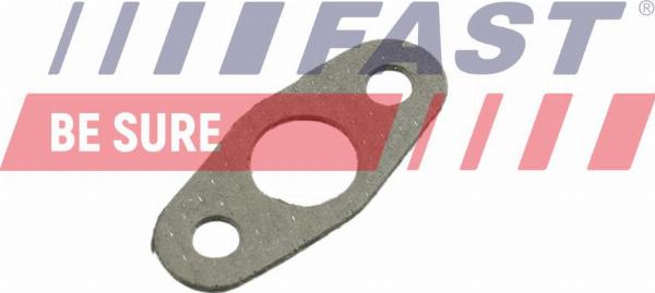 Fast FT48801 - Etansare, intrare turbina (compresor) aaoparts.ro