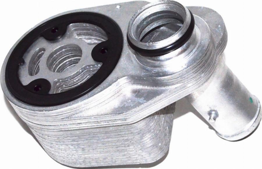 Fast FT55291 - Radiator ulei, ulei motor aaoparts.ro